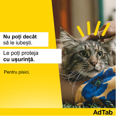 AdTab Cat 48 mg – Deparazitare externa pentru Pisici 2–8 kg, 1 Tabletă, Elanco